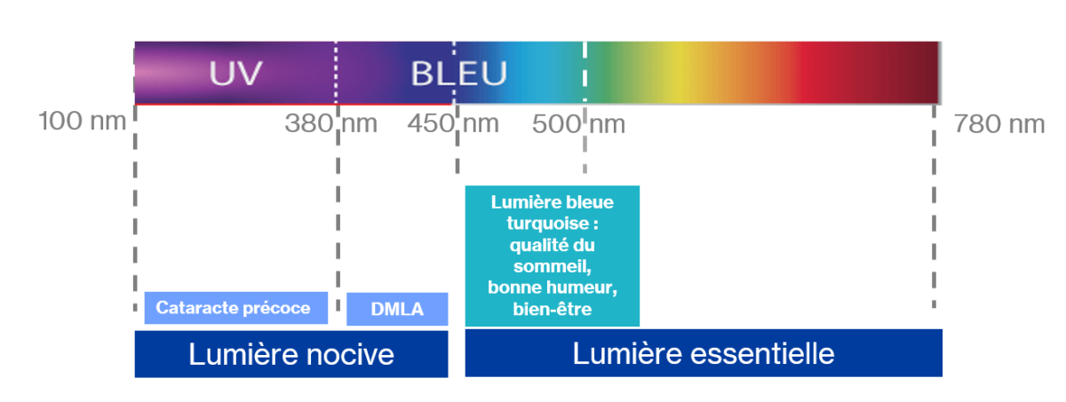 Lumière LED : Quels risques pour la Vision ?