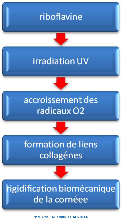 Le cross linking