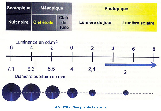  Le centre de la pupille est très souvent situé en temporal du vertex et bouge durant certains mouvements.