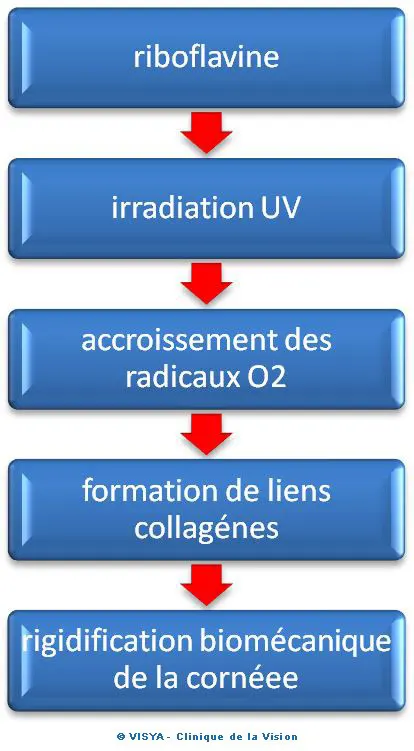 Le cross linking